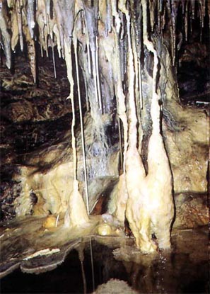 cuevavis1