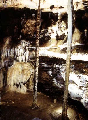 cuevavis7